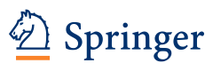 Logo Springer Verlag
