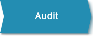 Audit